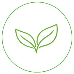 vegan leaves